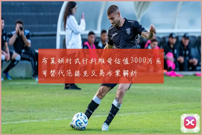 布莱顿对武什科维奇估值3000万或可替代范赫克交易方案解析