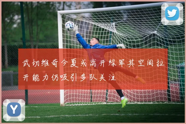 武切维奇今夏或离开绿军其空间拉开能力仍吸引多队关注