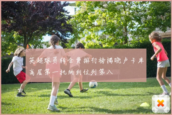 英超球员转会费排行榜揭晓卢卡库高居第一托纳利位列第八