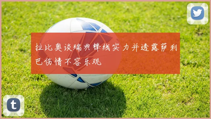 拉比奥谈瑞典锋线实力并透露萨利巴伤情不容乐观